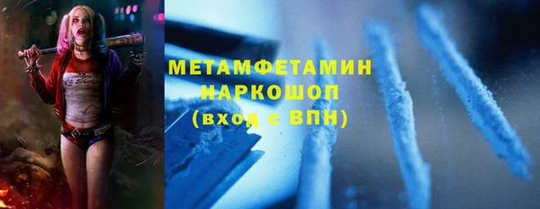прущие грибы Ельня