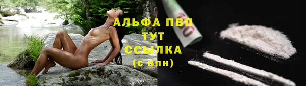 MESCALINE Заволжье