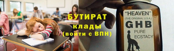 прущие грибы Ельня