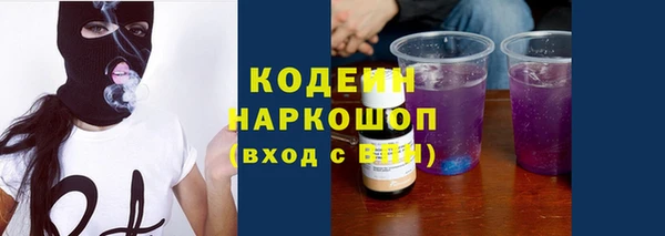 стаф Елабуга