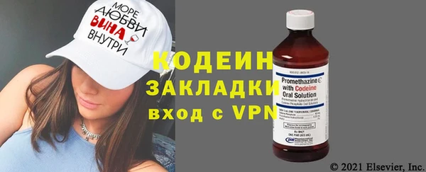 прущие грибы Ельня