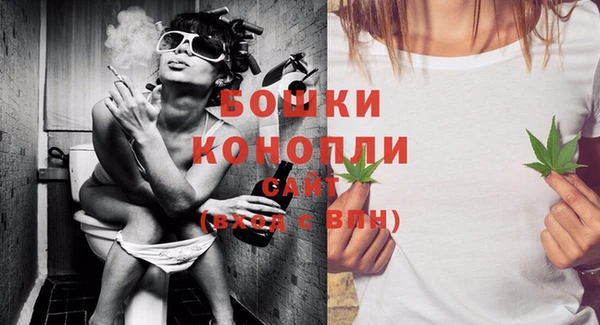 прущие грибы Ельня