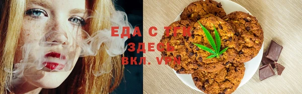 прущие грибы Ельня