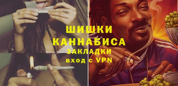 стаф Елабуга