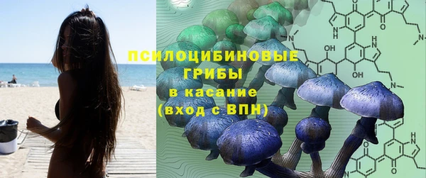 ALPHA PVP Заволжск