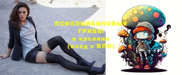 прущие грибы Ельня