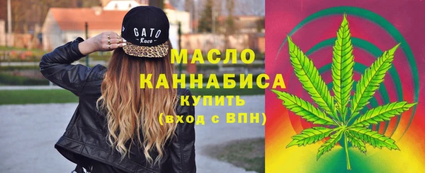 прущие грибы Ельня