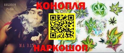 Альфа ПВП Лесосибирск