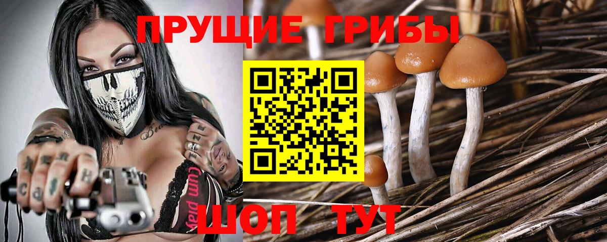 Каменск-Шахтинский  Гашиш  Меф кристаллы  Меф МЯУ МЯУ  Вход с VPN  МАРИХУАНА  Гашиш  Каннабис 